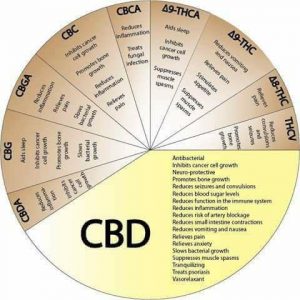 medical cannabis, cannabinoids