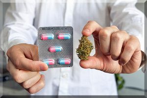 medical cannabis, cannabinoids, endocannabinoid tone